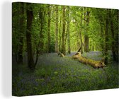 Peintures sur Toile - Fleurs - Forêt - Blauw - 120x80 cm - Décoration murale