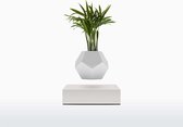 LYFE Planter - Zwevende plant - Wit