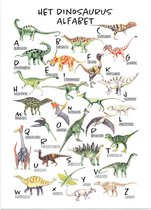 Educatieve poster (Posterpapier) - Taal het dinosaurus alfabet - 50 x 70 cm (B2)