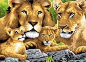 Peinture par numéro pour adultes- Famille Lion- tendue sur châssis en bois- 40x50 cm