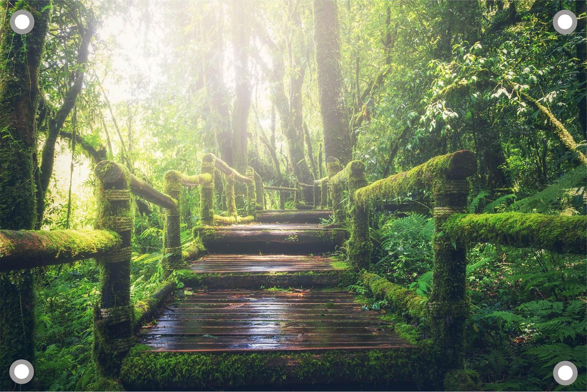Trap in de jungle tuinposter los doek 120x80 cm - Tuindoek / Schilderij voor buiten / Tuindecoratie