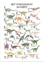 Educatieve poster (Forex) - Taal het dinosaurus alfabet - 50 x 70 cm (B2)