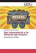 Del Laboratorio a la Minería del Futuro