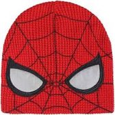 SPIDERMAN MUTS BEANIE