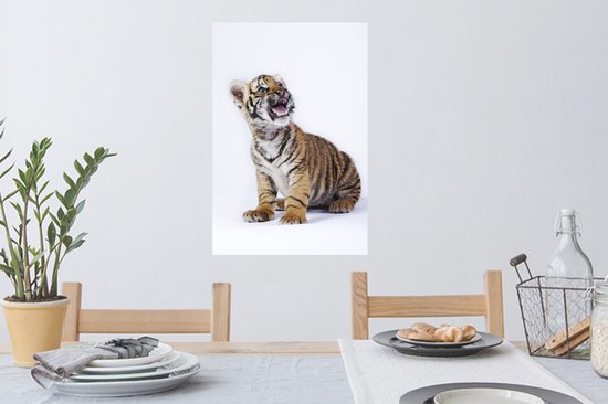 Sticker Muursticker Tigre sur fond blanc - Tigre avec gueule ouverte sur fond blanc - 40x60 cm - Film adhésif autocollant - Sticker mural repositionnable