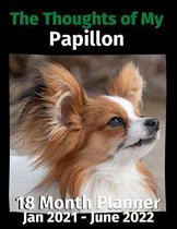 The Thoughts of My Papillon