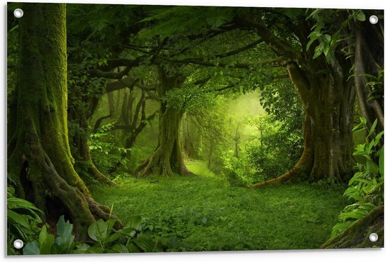 Tuinposter – Groen Begroeid Bos - 90x60cm Foto op Tuinposter  (wanddecoratie voor buiten en binnen)