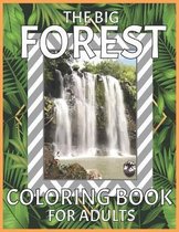 The Big Forest Coloring Book For Adults