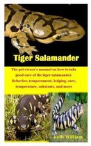 Tiger Salamander