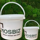 MosBiz | Mos| Lijm |1kg| Decoratie| Hobby | Knutselen | Plakken