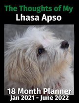 The Thoughts of My Lhasa Apso