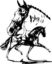Raam / Muur / Auto / Indoor / Outdoor / Trailersticker - dressuurpaard - paardensticker - paard met schaduw
