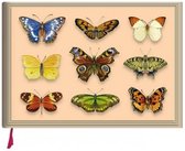 Notitieboek Vlinders blanco (21x15cm)