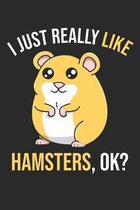 I Just Really Like Hamsters, OK?