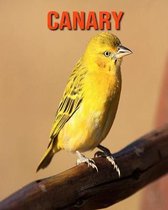 Canary