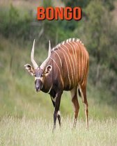 Bongo