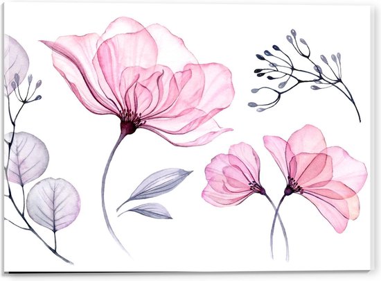 Acrylglas - Bloemen Tekeningen op Witte Achtergrond - 40x30cm Foto op Acrylglas (Met Ophangsysteem)
