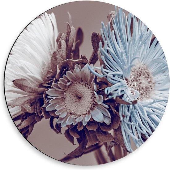 Dibond Wandcirkel - Wit/Blauwe Bloemen op Beige Achtergrond - 50x50cm Foto op Aluminium Wandcirkel (met ophangsysteem)