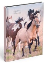 Amazone schoolagenda 2021-2022 - paarden - 7 dagen over 2 pagina's - hard cover - 176 pagina's - 17.5 x 13 cm