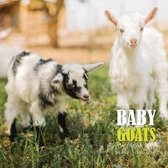 Baby Goats Calendar 2021