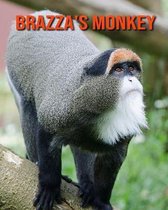 Brazza's Monkey