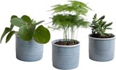 Hellogreen Kamerplant - Stijlvol Trio - 15 cm - Laos keramiek blauwgrijs