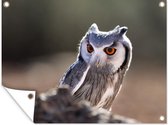 Affiche jardin - Toile jardin - Posters de jardin extérieur - Hibou - Macro - Animal - 120x90 cm - Jardin