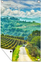Tuindecoratie Uitzicht op een wijngaard en een olijfgaard in Italië - 40x60 cm - Tuinposter - Tuindoek - Buitenposter