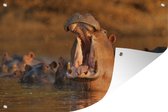 Muurdecoratie Nijlpaarden - Water - 180x120 cm - Tuinposter - Tuindoek - Buitenposter