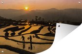 Muurdecoratie Prachtig beeld van een rijstveld bij zonsondergang - 180x120 cm - Tuinposter - Tuindoek - Buitenposter