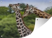 Muurdecoratie buiten Twee giraffen tegen een onscherpe achtergrond - 160x120 cm - Tuindoek - Buitenposter
