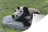 Tuinposters buiten Pandas - Gras - Steen - 90x60 cm - Tuindoek - Buitenposter