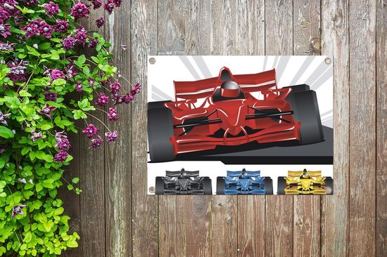 Quatre illustrations de voitures de course en différentes couleurs affiche de jardin 40x30 cm - petit - Toile de jardin / Toile d'extérieur / Peintures pour l'extérieur (décoration de jardin)