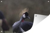 Tuindecoratie Kraanvogel op de savanne - 60x40 cm - Tuinposter - Tuindoek - Buitenposter