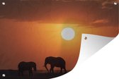 Tuindecoratie Afrikaanse olifanten tijdens zonsondergang - 60x40 cm - Tuinposter - Tuindoek - Buitenposter