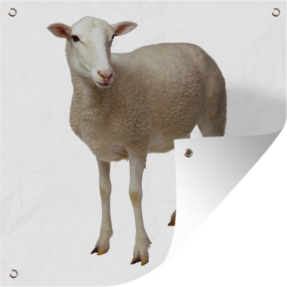 Tuindoek Schaap Boerderijdier Vacht 100x100 Cm Bol tuindoek-schaap-boerderijdier-vacht-100x100-cm-bol
