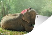 Tuindecoratie Een meisje slaapt op de rug van een olifant - 60x40 cm - Tuinposter - Tuindoek - Buitenposter