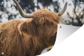 Tuindecoratie Schotse hooglander - Hoorn - Natuur - 60x40 cm - Tuinposter - Tuindoek - Buitenposter