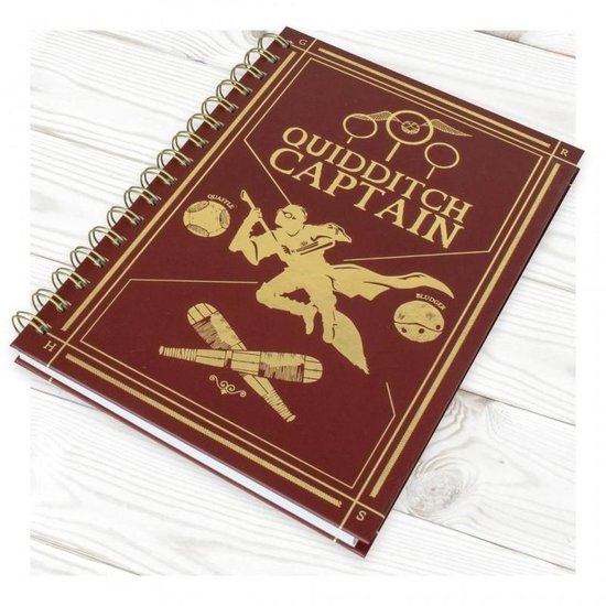 Blue Sky Studios Harry Potter - Quidditch Captain A5 Notebook | bol.com