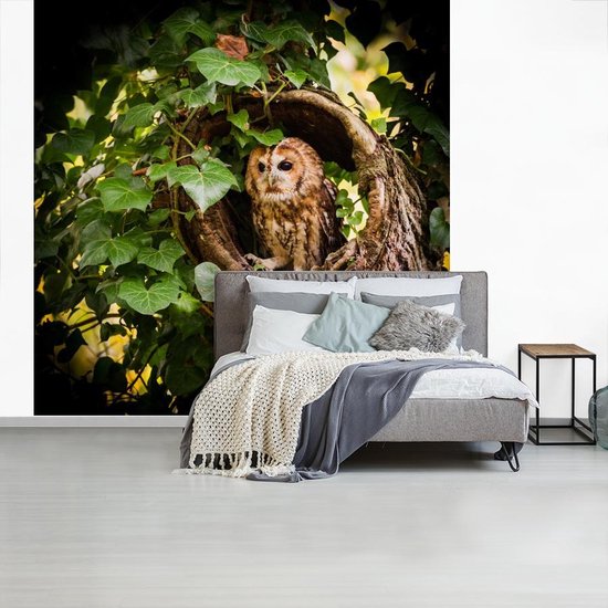 Papier peint vinyle - Un hibou fauve dans un tronc d'arbre largeur 300 cm x hauteur 300 cm - Tirage photo sur papier peint (disponible en 7 tailles)