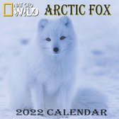 Arctic Fox Calendar 2022