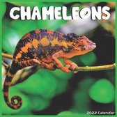 Chameleons 2022 Calendar