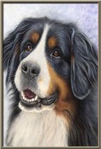 Diamond painting - Dog - Dieren - Diamond schilderen - Volwassen - Kinderen - Hond - Natuur - 20x30 cm