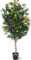 Sinaasappelboom Deluxe 150cm