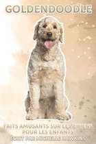 Goldendoodle