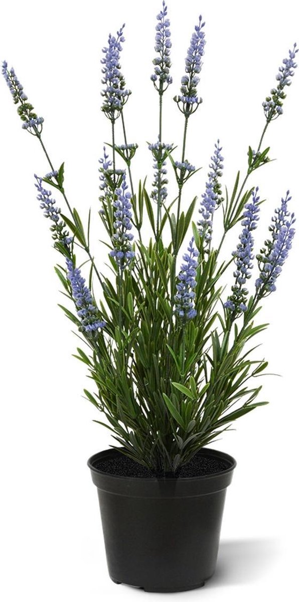 maxifleur Kunstplanten Lavendel kunstplant 50cm in pot - blauw - UV bestendig Lila