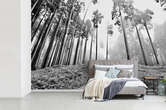 Behang - Fotobehang Zwart-wit foto van een trap tussen de bomen in de mist  - Breedte... | bol.com