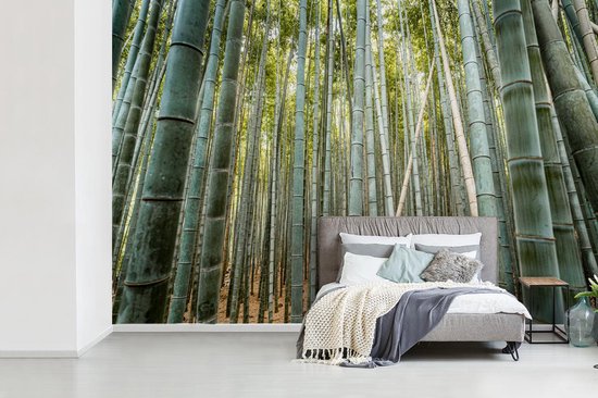 Behang - Fotobehang Bamboe - - Japan - Breedte 450 cm x hoogte | bol.com