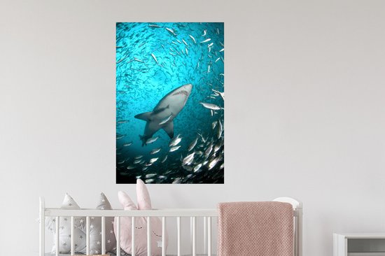Stickers muraux - Un requin parmi les poissons - 60x90 cm - Film adhésif