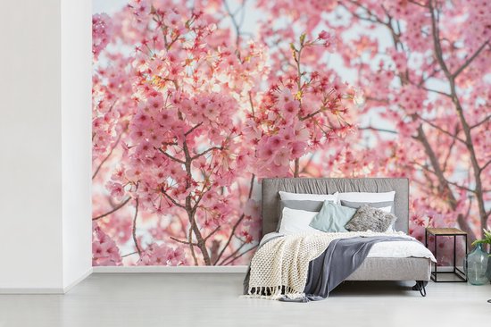 Papier peint Papier peint photo en vinyle - Fleur de cerisier au Japon largeur 420 cm x hauteur 280 cm - Tirage photo sur papier peint (disponible en 7 tailles)